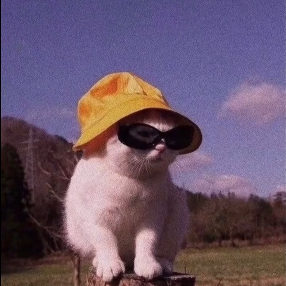 Meet your Posher, Ayse - Picture 1 of 1